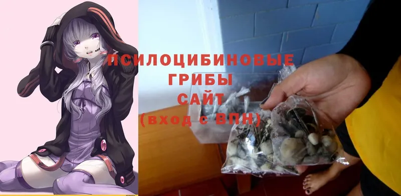 Псилоцибиновые грибы Psilocybe  купить наркотик  Верхняя Салда 